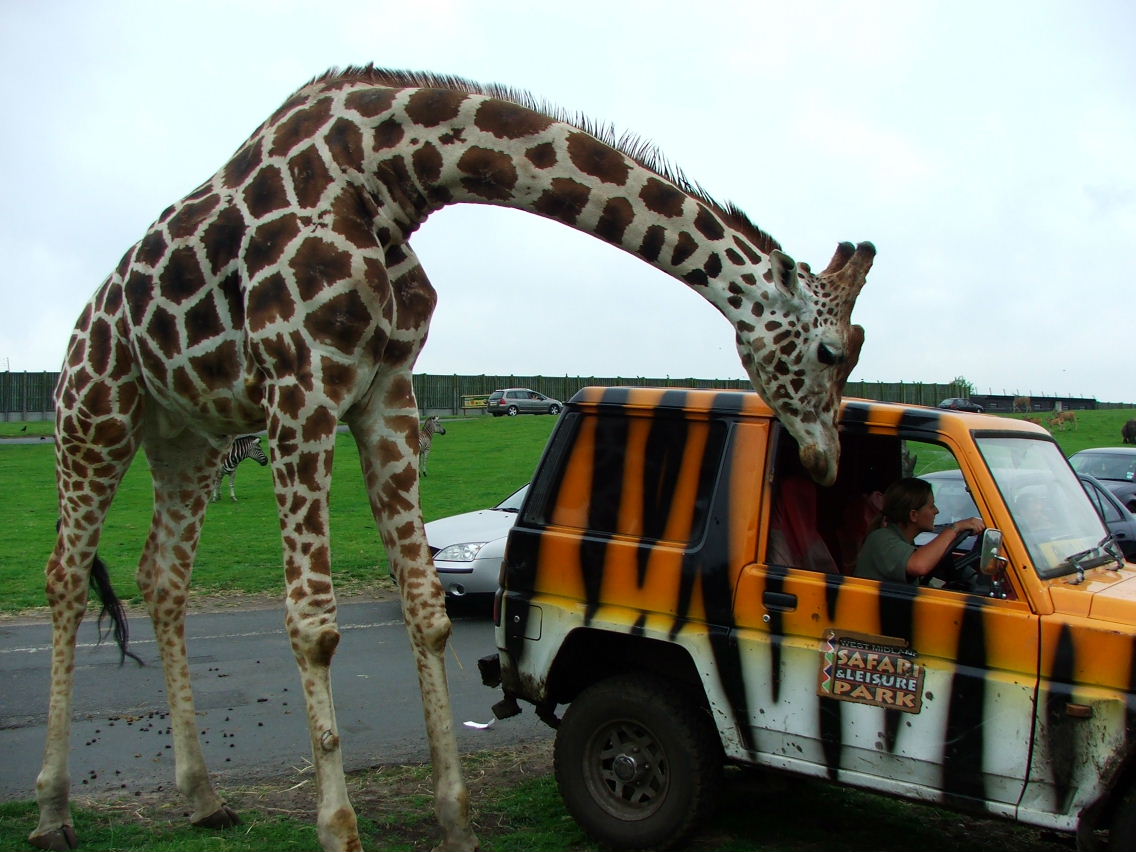 West Midlands Safari Park