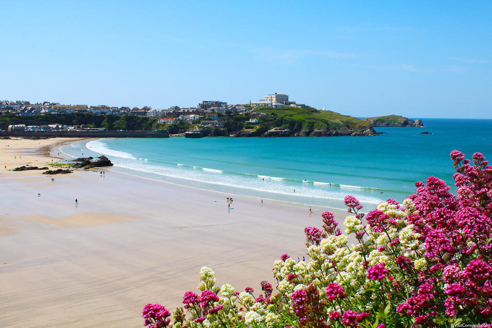 Summertime on the Cornish Coast & Eden Project