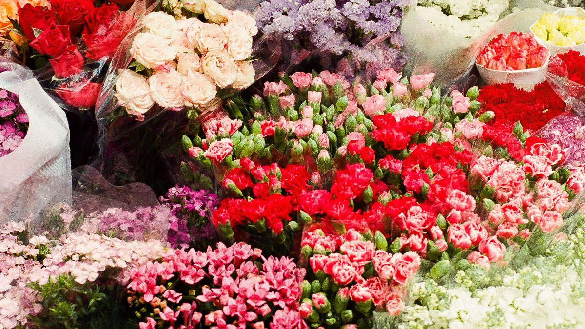 Columbia Road Flower Market & Covent Gaden