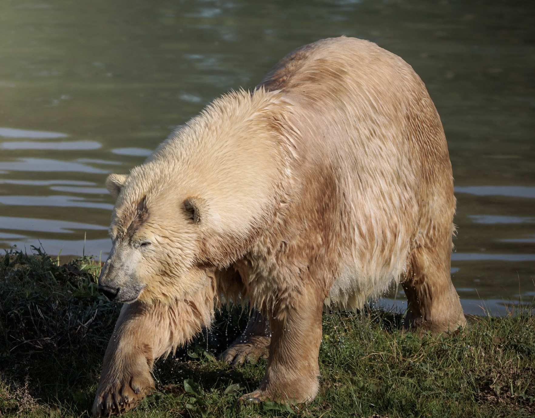 Jimmy's Farm & Wildlife Park