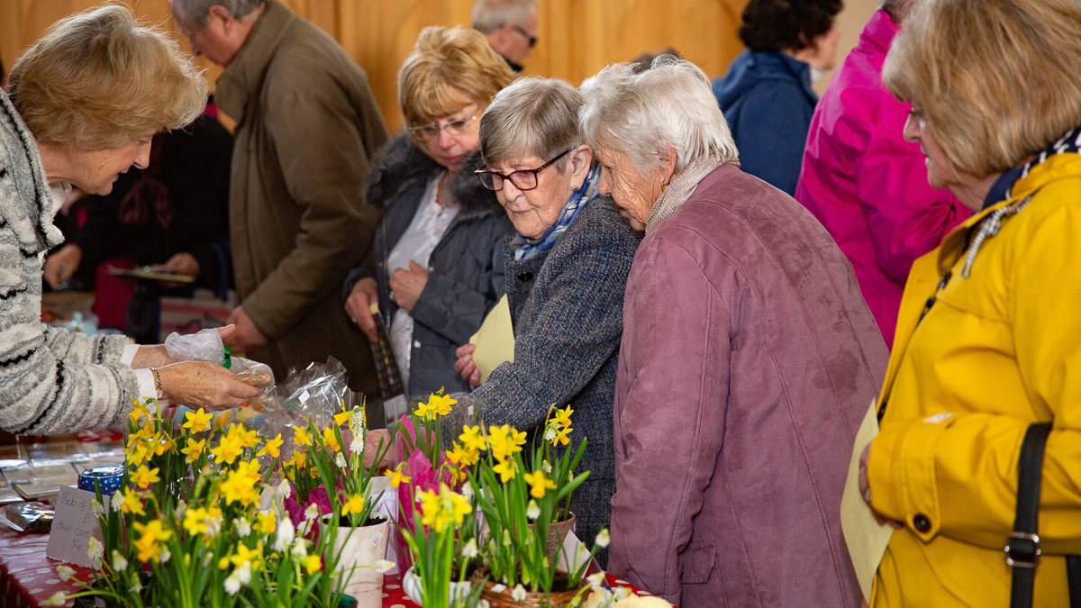 Visitors looking at daffodil stall at the fair