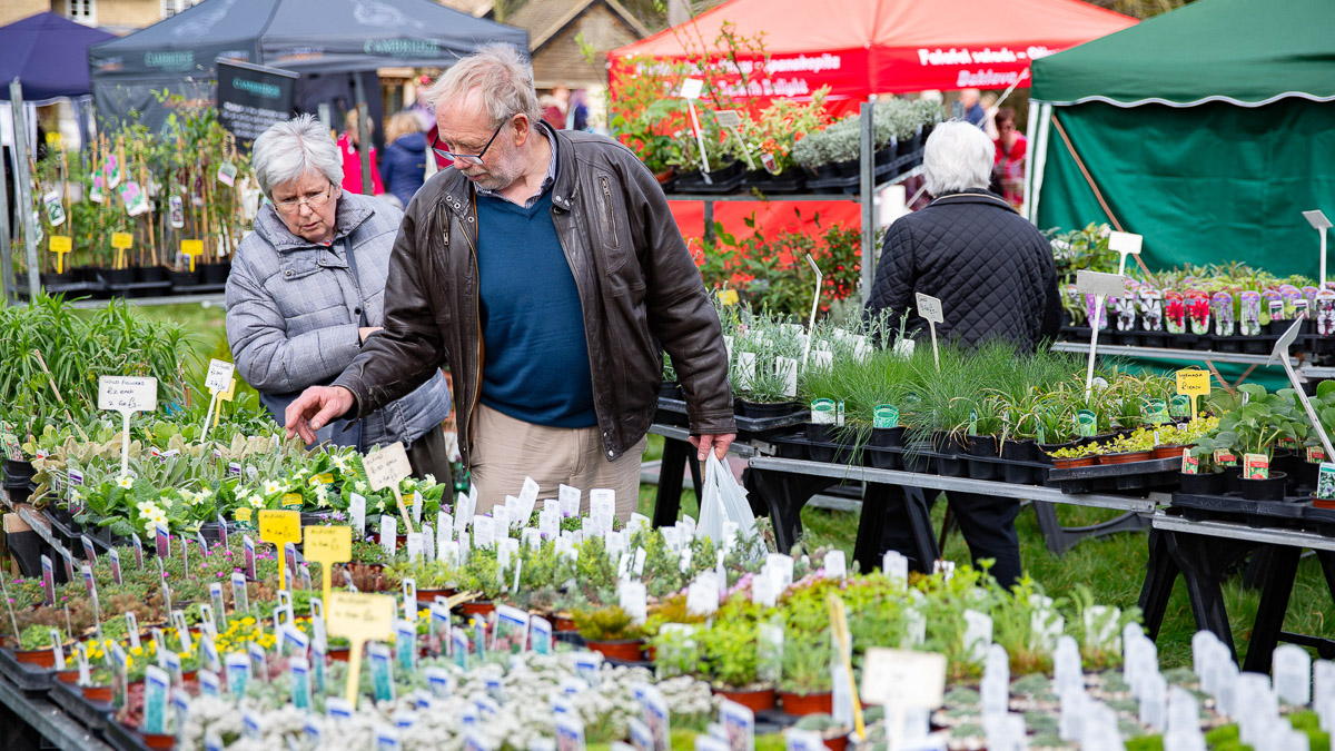 Garden stalls at the County Fair