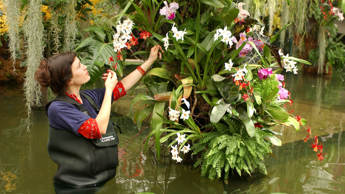 Working on the show at Kew Gardens orchid festival coach trip