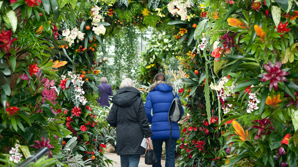 Orchid Festival At Kew Royal Botanic Gardens