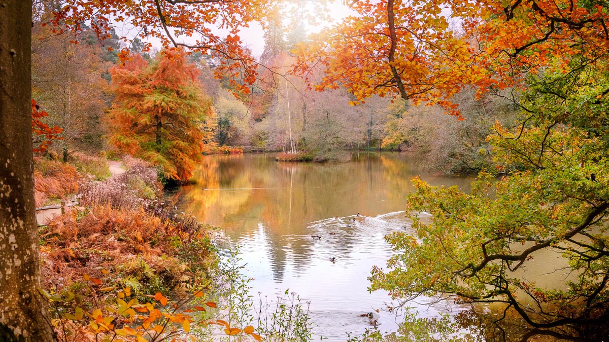 Autumn lake Wakehurst Botanical Garden