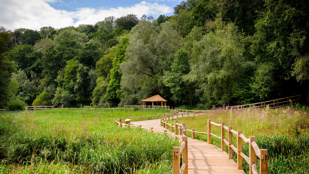 Wooden walkway at Wakehurst Botanical Gardens, a day trip by coach