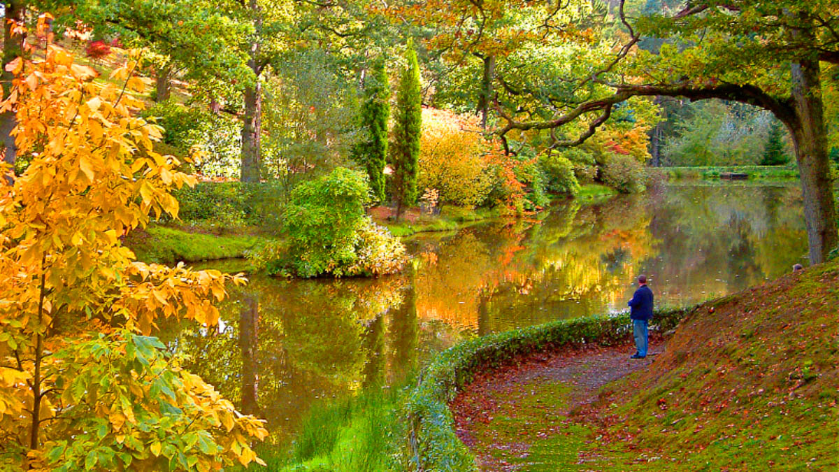 Observer at Leonardslee Lakes & Gardens in Autumn