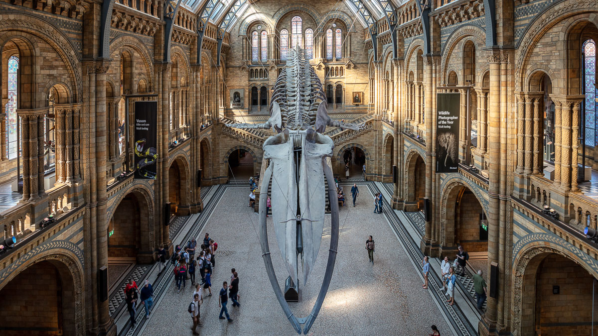 London Museums