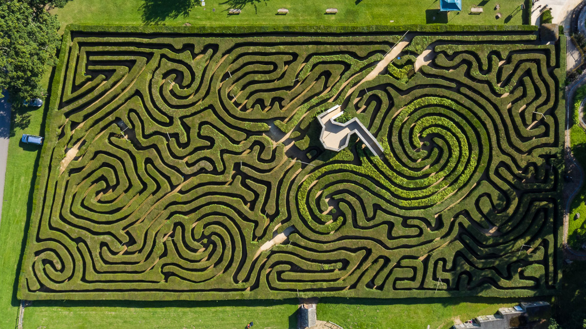 Longleat hedge