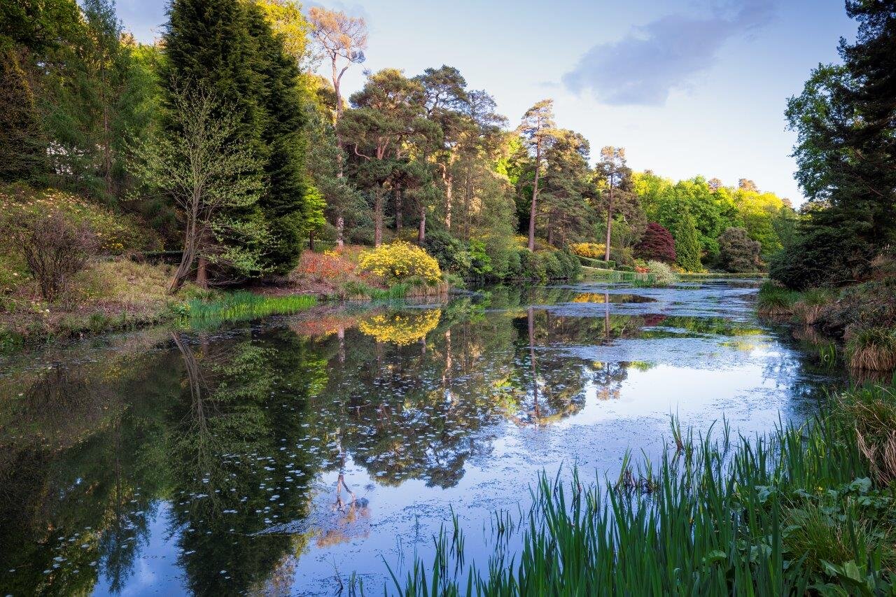 Leonardslee Lakes & Gardens Autumn Colours (Including Cream Tea)